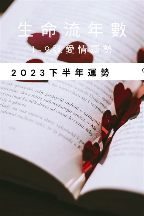 2023生命靈數流年4|V生命靈數／ 2023下半年【整體運勢】分析&生命流年。